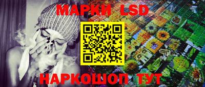 кокс Нальчик