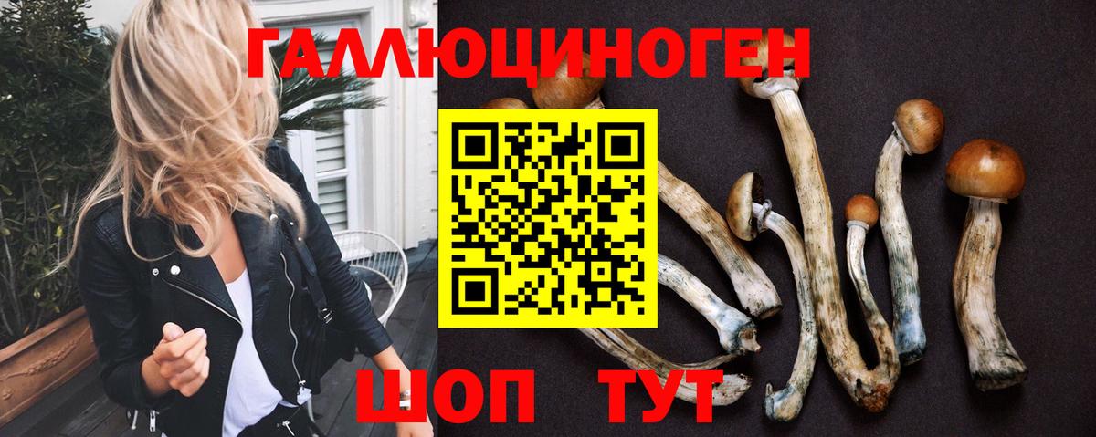 Удомля  Галлюциногенные грибы MAGIC MUSHROOMS  Вход с VPN 